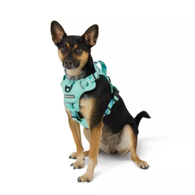 Product Arcadia Trail® Quick Dry Dog Harness
