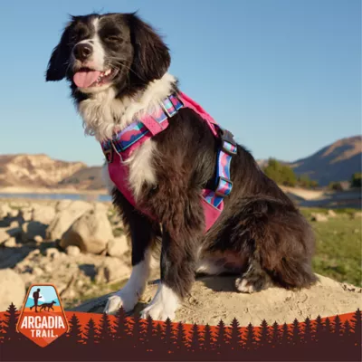 Product Arcadia Trail® Quick Dry Dog Harness