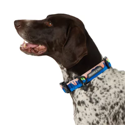 Product Arcadia Trail® Lightweight Dog Collar