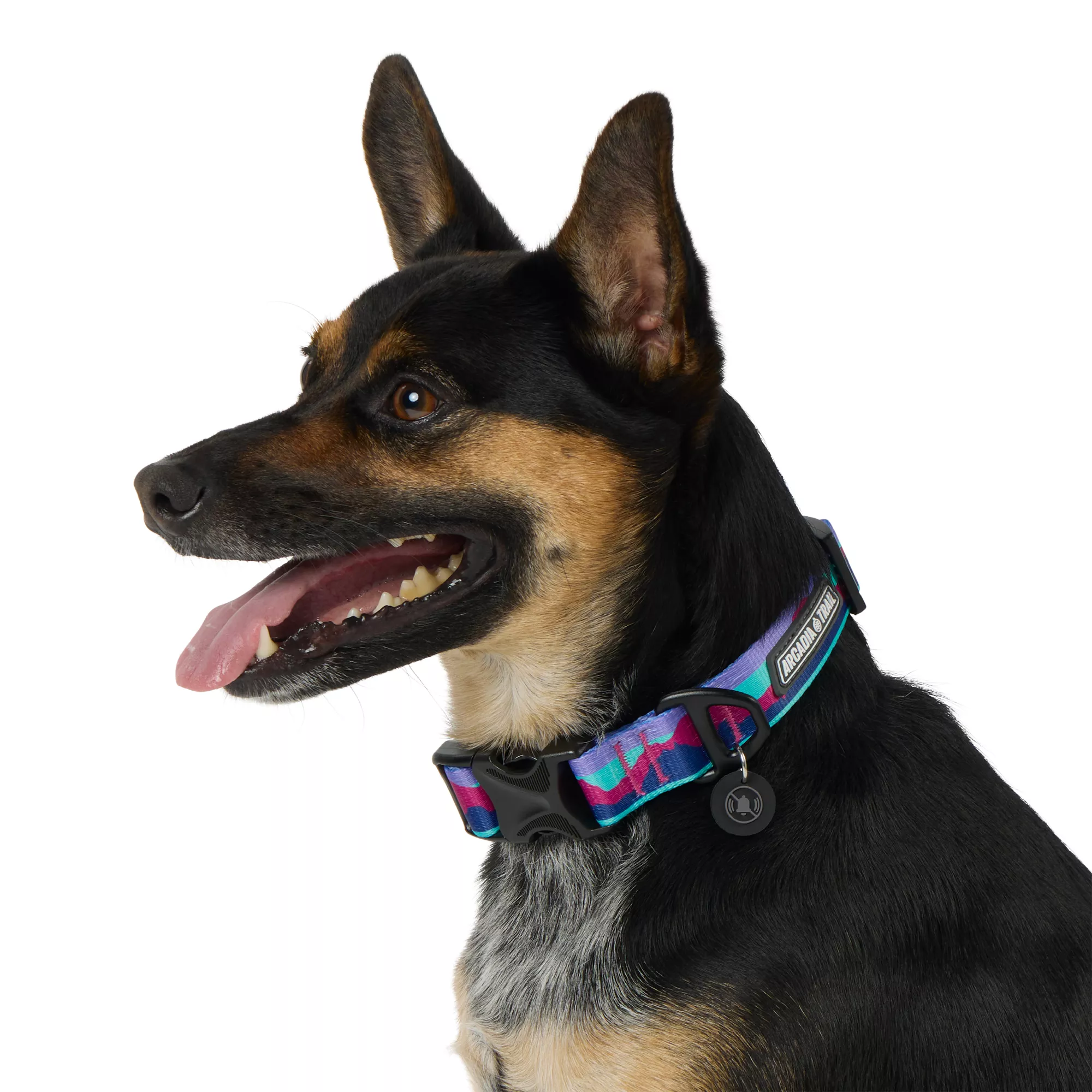 Arcadia Trail® Lightweight Dog Collar