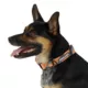 Product Arcadia Trail® Paracord Rope Dog Collar