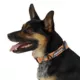 Product Arcadia Trail® Paracord Rope Dog Collar