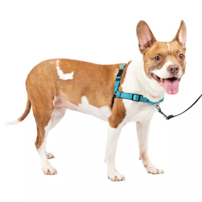 PetSafe® Easy Walk Deluxe Dog Harness, No Pull Harness, Padded, Reflective, Multiple Sizes & Colors - Image 1