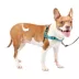 PetSafe® Easy Walk Deluxe Dog Harness, No Pull Harness, Padded, Reflective, Multiple Sizes & Colors image thumbnail 1