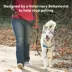 PetSafe® Easy Walk Deluxe Dog Harness, No Pull Harness, Padded, Reflective, Multiple Sizes & Colors image thumbnail 2
