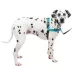 PetSafe® Easy Walk Deluxe Dog Harness, No Pull Harness, Padded, Reflective, Multiple Sizes & Colors image thumbnail 1
