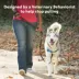 PetSafe® Easy Walk Deluxe Dog Harness, No Pull Harness, Padded, Reflective, Multiple Sizes & Colors image thumbnail 2