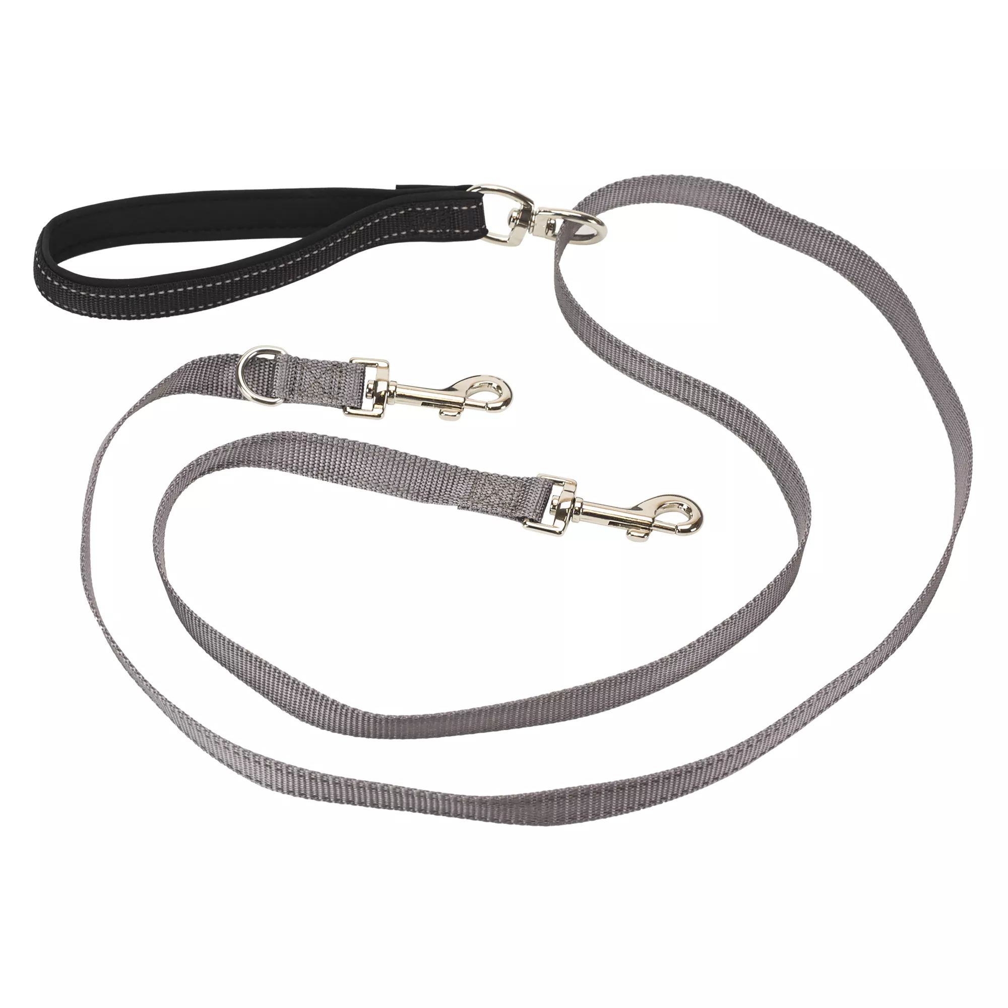 PetSafe® Two Point Control Leash