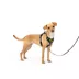 PetSafe® Easy Walk Dog Harness, Comfort Harness, No Pull, Premium Foam, Multiple Sizes & Colors image thumbnail 1