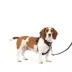 PetSafe® Easy Walk® Comfort No-Pull Dog Harness image thumbnail 1
