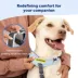 PetSafe® Easy Walk® Comfort No-Pull Dog Harness image thumbnail 3