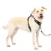 PetSafe® Easy Walk Dog Harness, Comfort Harness, No Pull, Premium Foam, Multiple Sizes & Colors image thumbnail 1