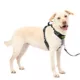 Product PetSafe® Easy Walk® Comfort No-Pull Dog Harness