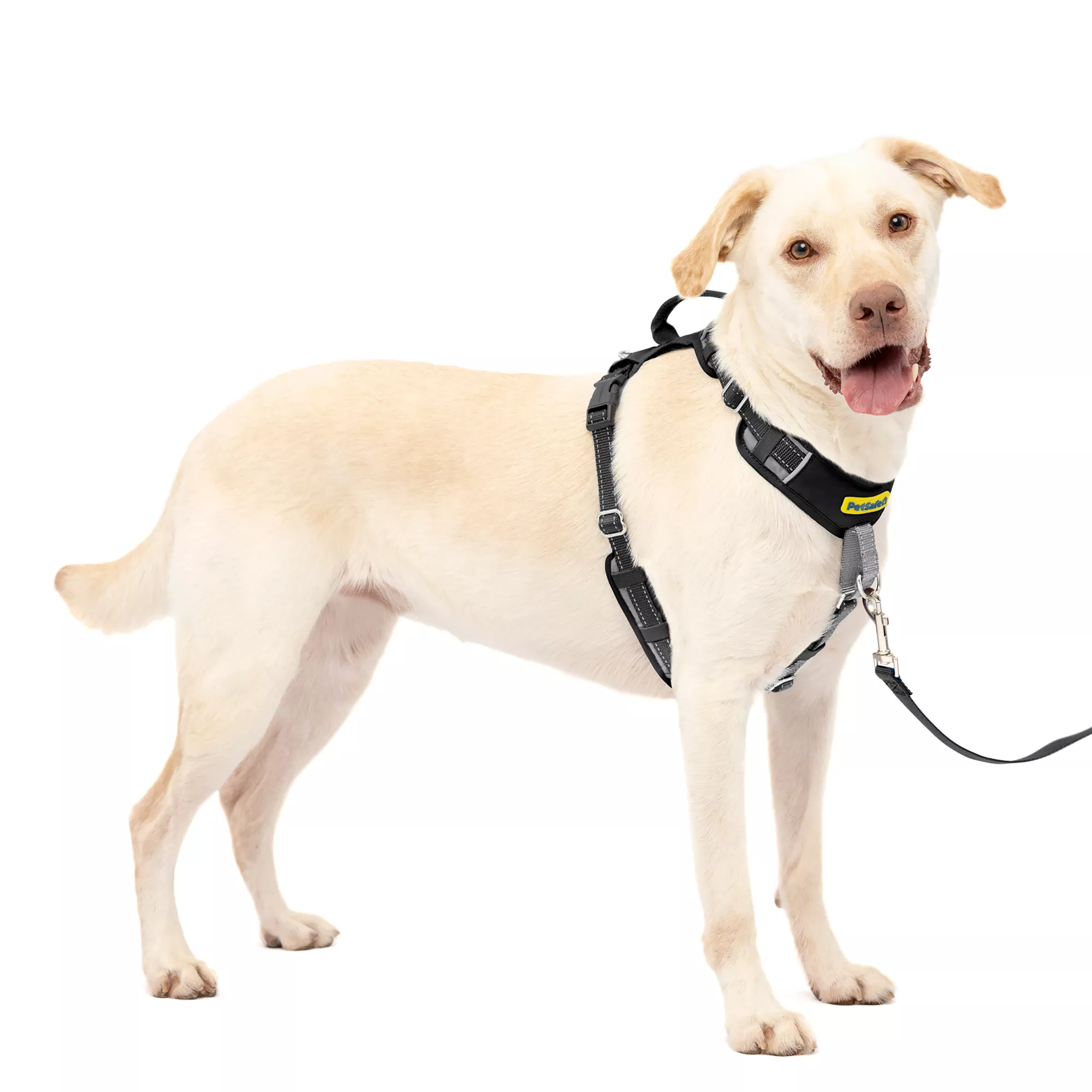 PetSafe® Easy Walk® Comfort Harness