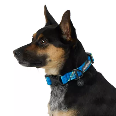 Product Arcadia Trail® Paracord Rope Dog Collar