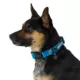 Product Arcadia Trail® Paracord Rope Dog Collar