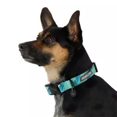 Product Arcadia Trail® Paracord Rope Dog Collar