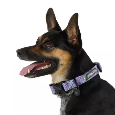 Product Arcadia Trail® Paracord Rope Dog Collar