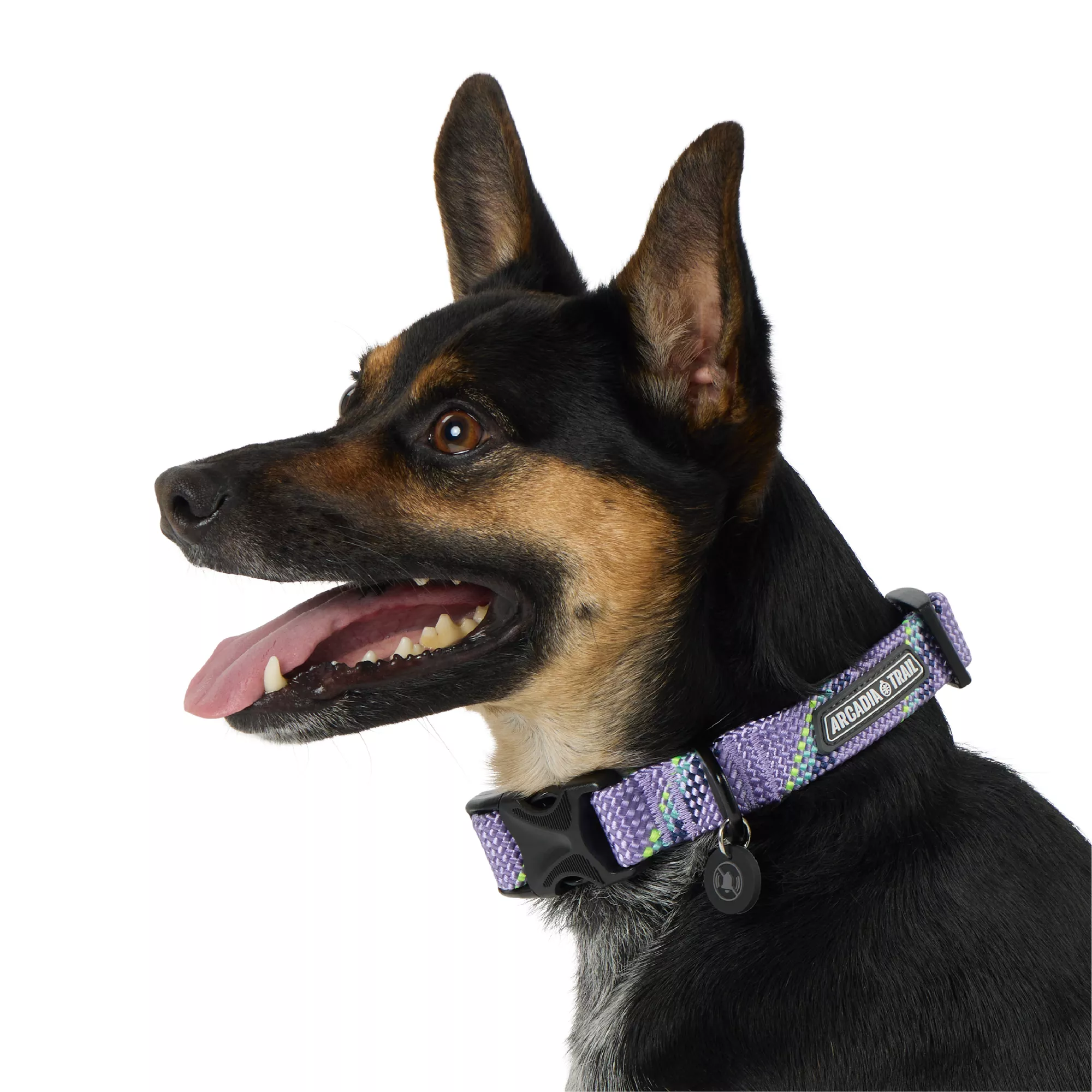 Arcadia Trail® Paracord Rope Dog Collar