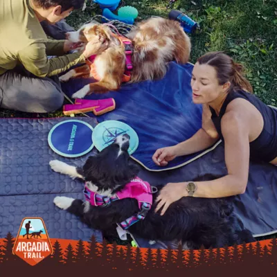 Product  Arcadia Trail® Water-Repellent Cooling Dog Blanket