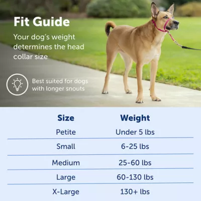 Product PetSafe® Gentle Leader No-Pull Dog Headcollar - Helps You Regain Control