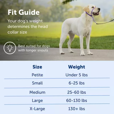 Product PetSafe® Gentle Leader No-Pull Dog Headcollar - Helps You Regain Control