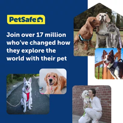 Product PetSafe® Gentle Leader No-Pull Dog Headcollar - Helps You Regain Control