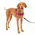 PetSafe® Easy Walk Dog Harness, No Pull Dog Harness, Multiple Sizes & Colors image thumbnail 1