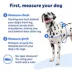 PetSafe® Easy Walk Dog Harness, No Pull Dog Harness, Multiple Sizes & Colors image thumbnail 4