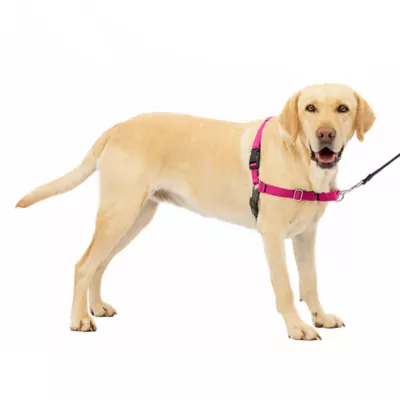 Product PetSafe® Easy Walk Harness, No Pull Dog Harness