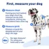 PetSafe® Easy Walk Dog Harness, No Pull Dog Harness, Multiple Sizes & Colors image thumbnail 4