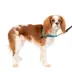 PetSafe® Easy Walk Deluxe Dog Harness, No Pull Harness, Padded, Reflective, Multiple Sizes & Colors image thumbnail 1