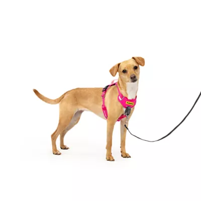 Product PetSafe® Easy Walk® Comfort No-Pull Dog Harness