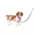PetSafe® Easy Walk Dog Harness, Comfort Harness, No Pull, Premium Foam, Multiple Sizes & Colors image thumbnail 1