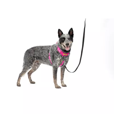 Product PetSafe® Easy Walk® Comfort No-Pull Dog Harness