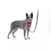 PetSafe® Easy Walk Dog Harness, Comfort Harness, No Pull, Premium Foam, Multiple Sizes & Colors image thumbnail 1