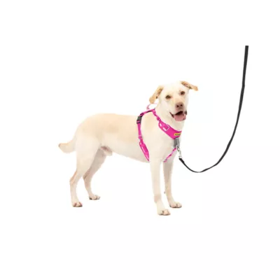 Product PetSafe® Easy Walk® Comfort No-Pull Dog Harness