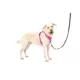Product PetSafe® Easy Walk® Comfort No-Pull Dog Harness