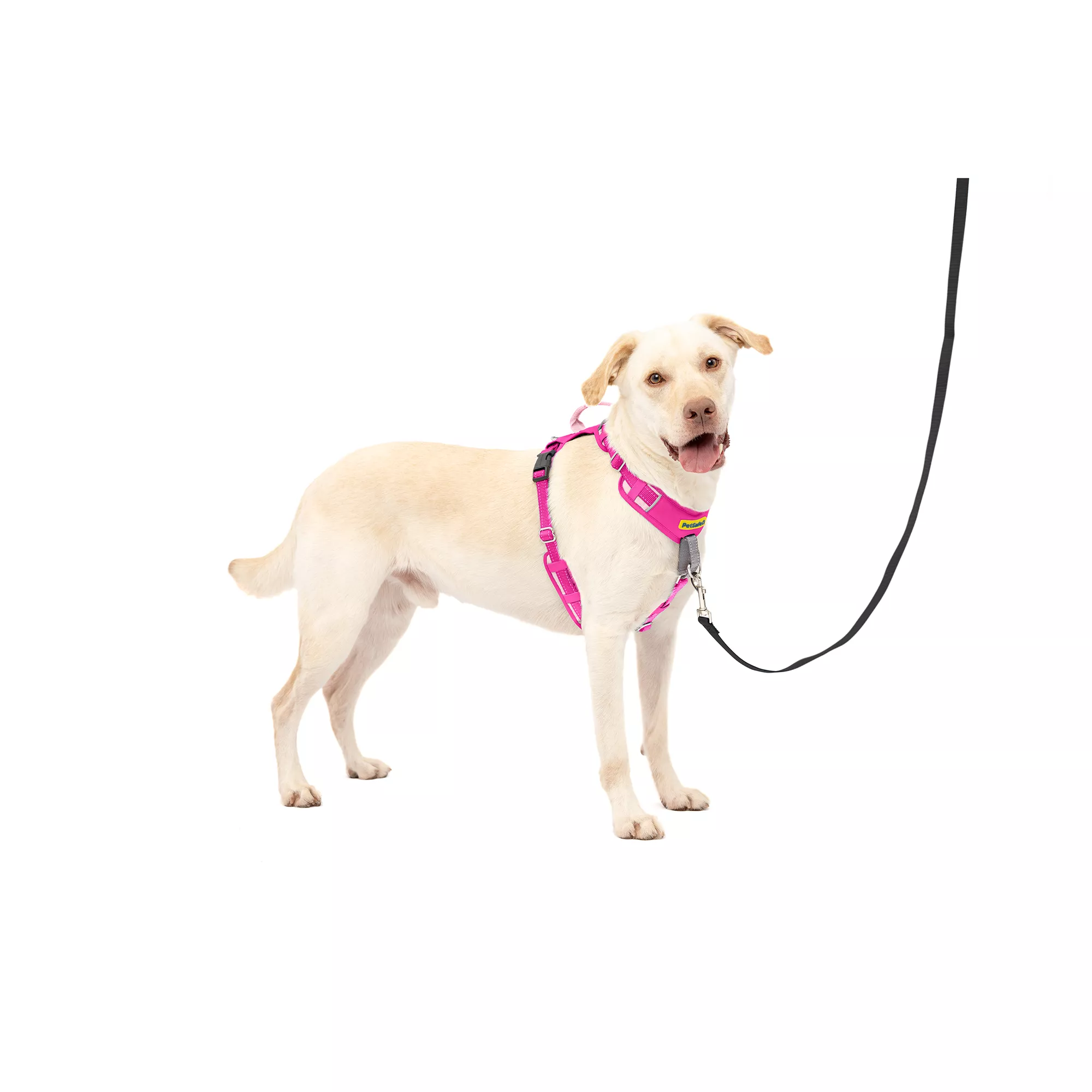 PetSafe® Easy Walk® Comfort Harness