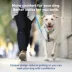PetSafe® Easy Walk Dog Harness, Comfort Harness, No Pull, Premium Foam, Multiple Sizes & Colors image thumbnail 2
