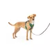 PetSafe® Easy Walk Dog Harness, Comfort Harness, No Pull, Premium Foam, Multiple Sizes & Colors image thumbnail 1