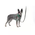 PetSafe® Easy Walk Dog Harness, Comfort Harness, No Pull, Premium Foam, Multiple Sizes & Colors image thumbnail 1