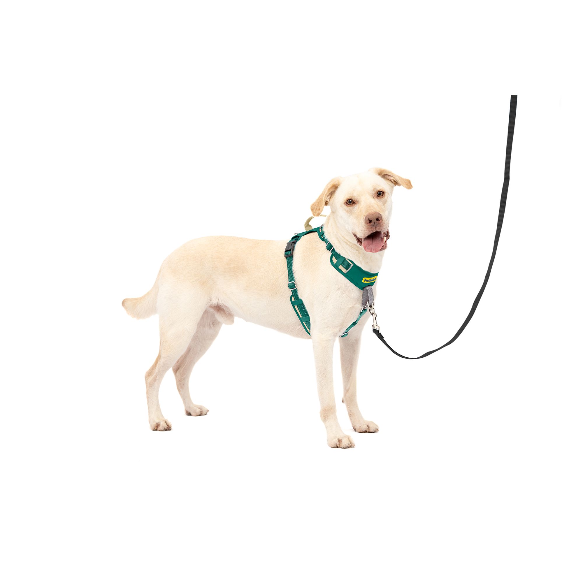PetSafe® Easy Walk® Comfort No-Pull Dog Harness