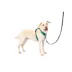 PetSafe® Easy Walk Dog Harness, Comfort Harness, No Pull, Premium Foam, Multiple Sizes & Colors image thumbnail 1