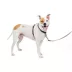 PetSafe® 3 in 1 Harness image thumbnail 1
