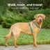 PetSafe® 3 in 1 Harness image thumbnail 2