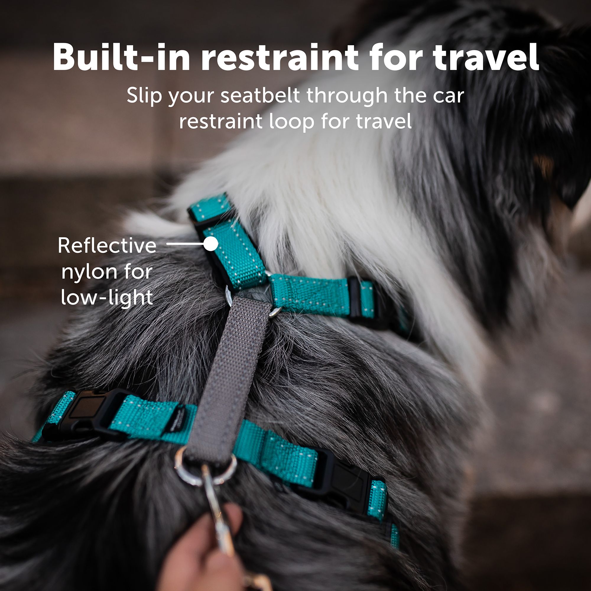 best hands free dog leash canada Biothane Hands Free Dog Leash | Best Dog Leash main image 0