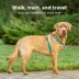 PetSafe® 3 in 1 Harness image thumbnail 2