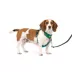 PetSafe® Easy Walk Dog Harness, Comfort Harness, No Pull, Premium Foam, Multiple Sizes & Colors image thumbnail 1