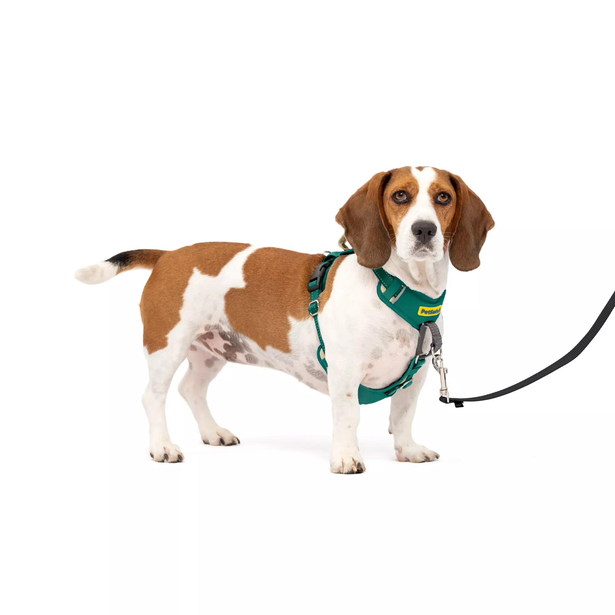 PetSafe® Easy Walk® Comfort Harness